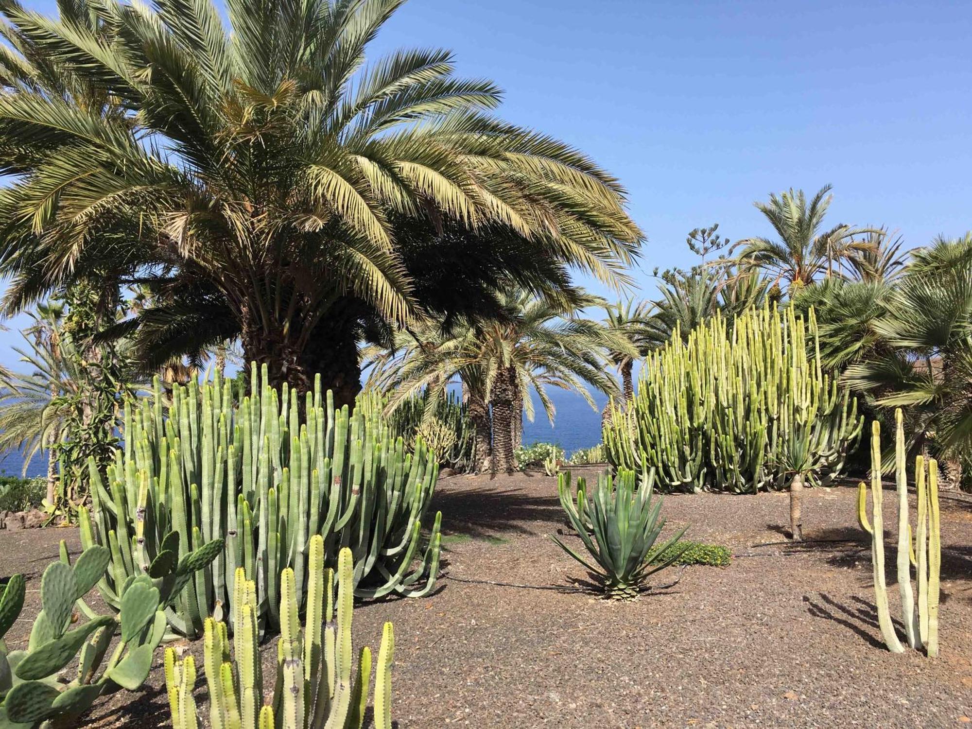 Résidence Pierre&vacances Marazul Del Sur