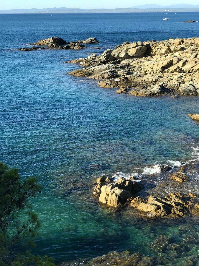 Apartment Castell Blau *