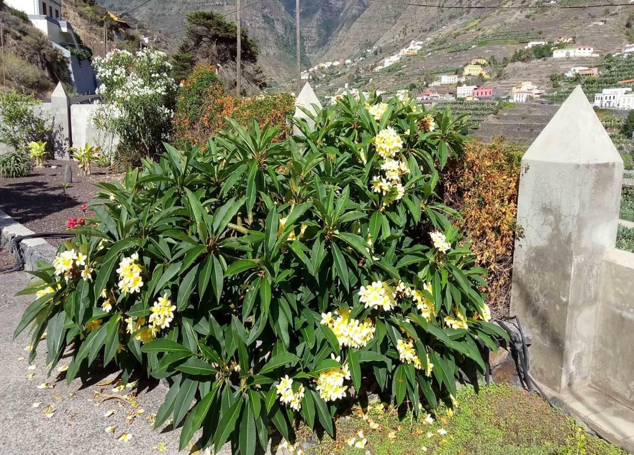 Gomera Garden. Vista Mar Altozano Villa Hermigua
