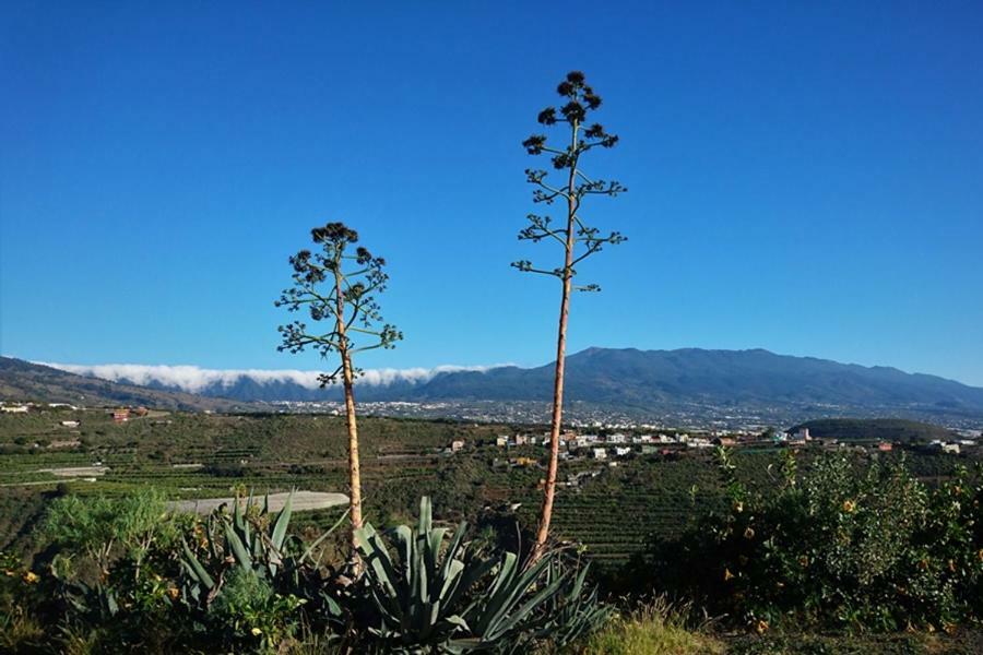 Casa Vista Caldera Tijarafe