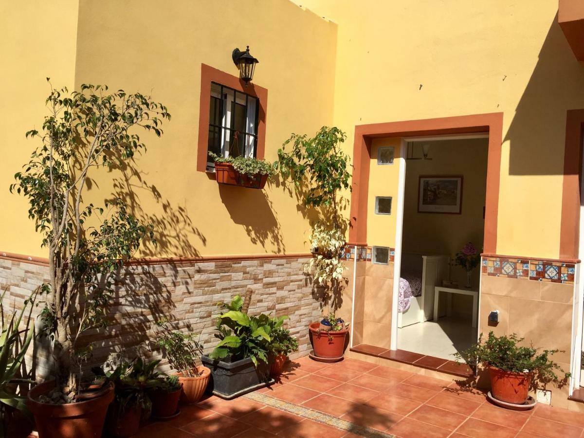 Homestay Cool Garden And Mairena del Aljarafe