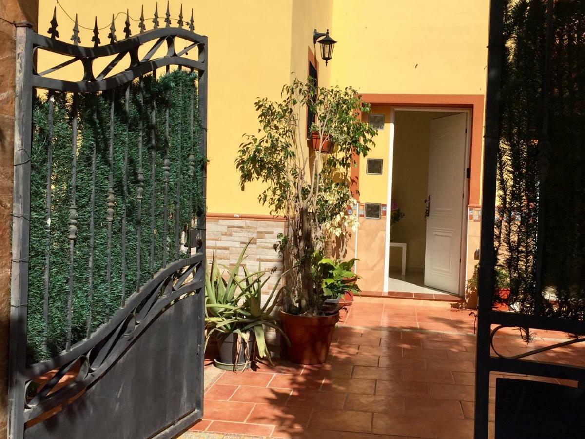 Cool Garden And