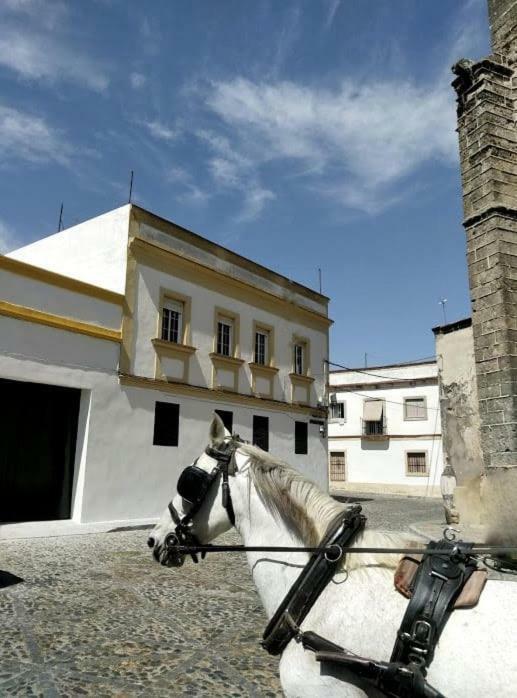 Azafran Jerez Apartment