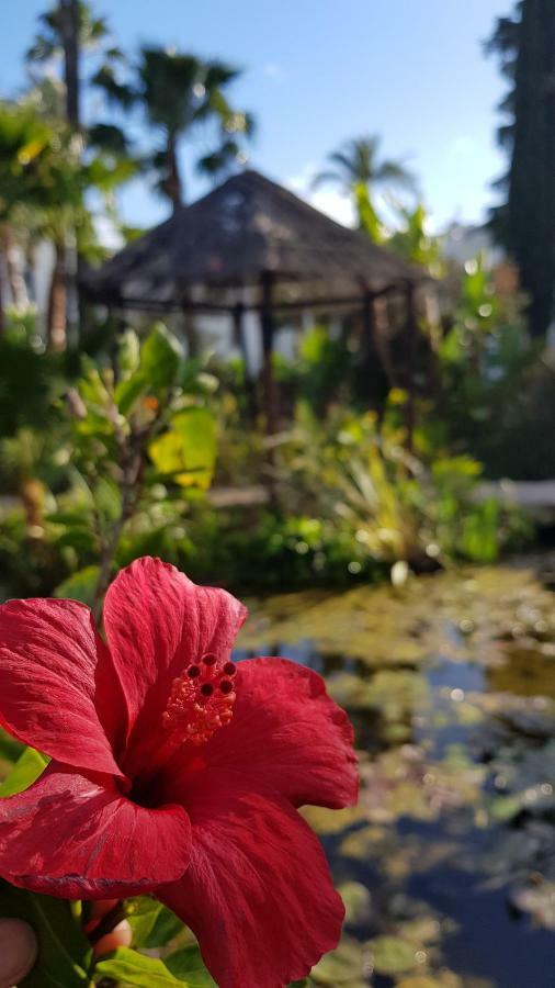 Apartamento Con Vistas Al Campo De Golf Y Piscina Apartamento *