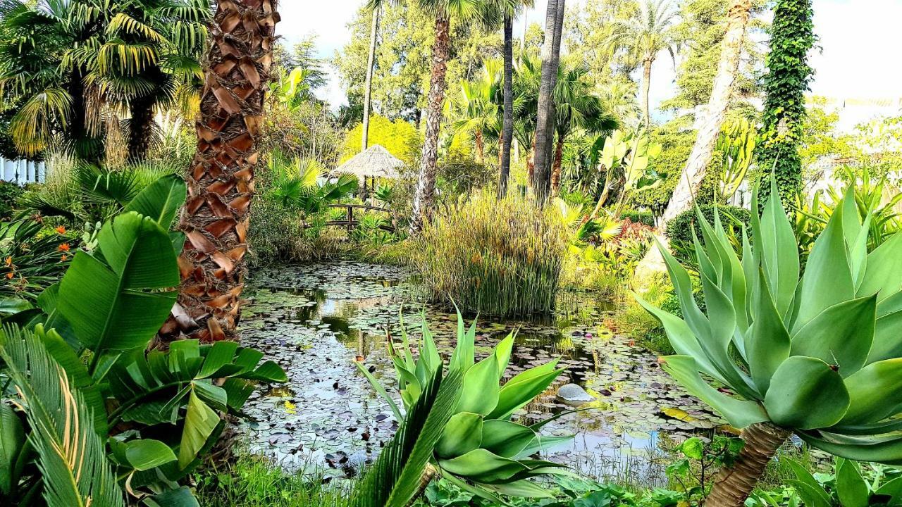 Apartamento Con Vistas Al Campo De Golf Y Piscina Apartamento *