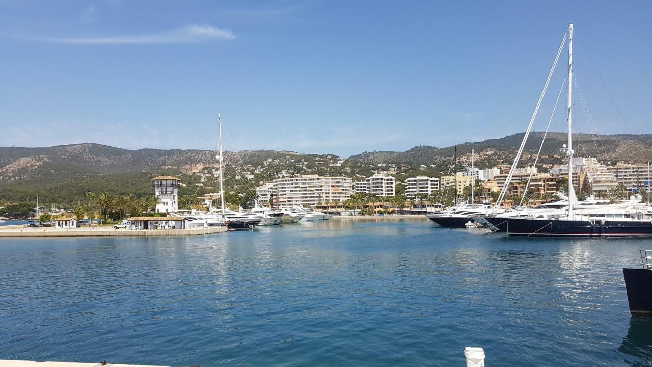 Next To The Portals Nous (Mallorca)