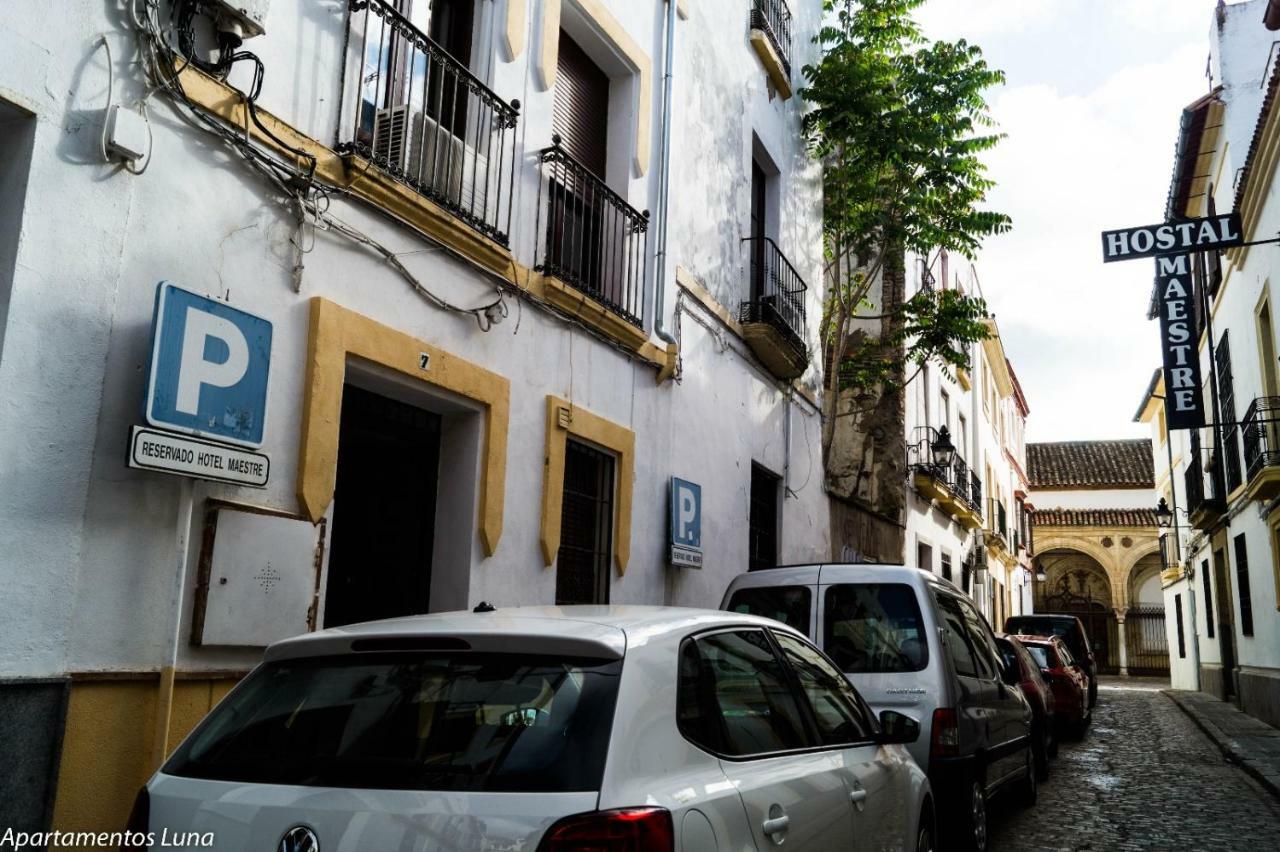 Viviendas Turisticas 