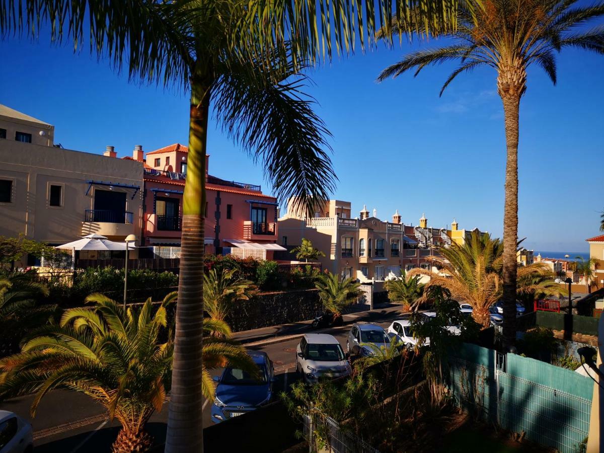 Beautiful Palm-mar