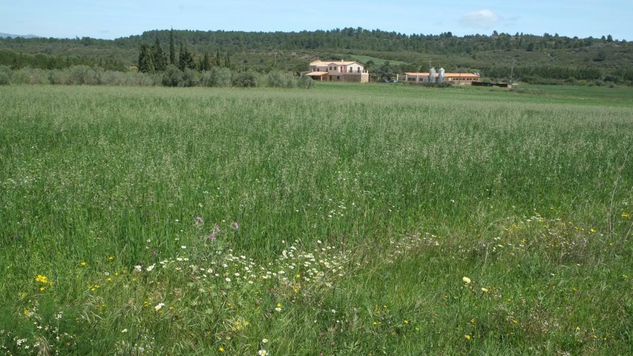 Casa rural La Masia De Montpedrós Peralada (Perelada)