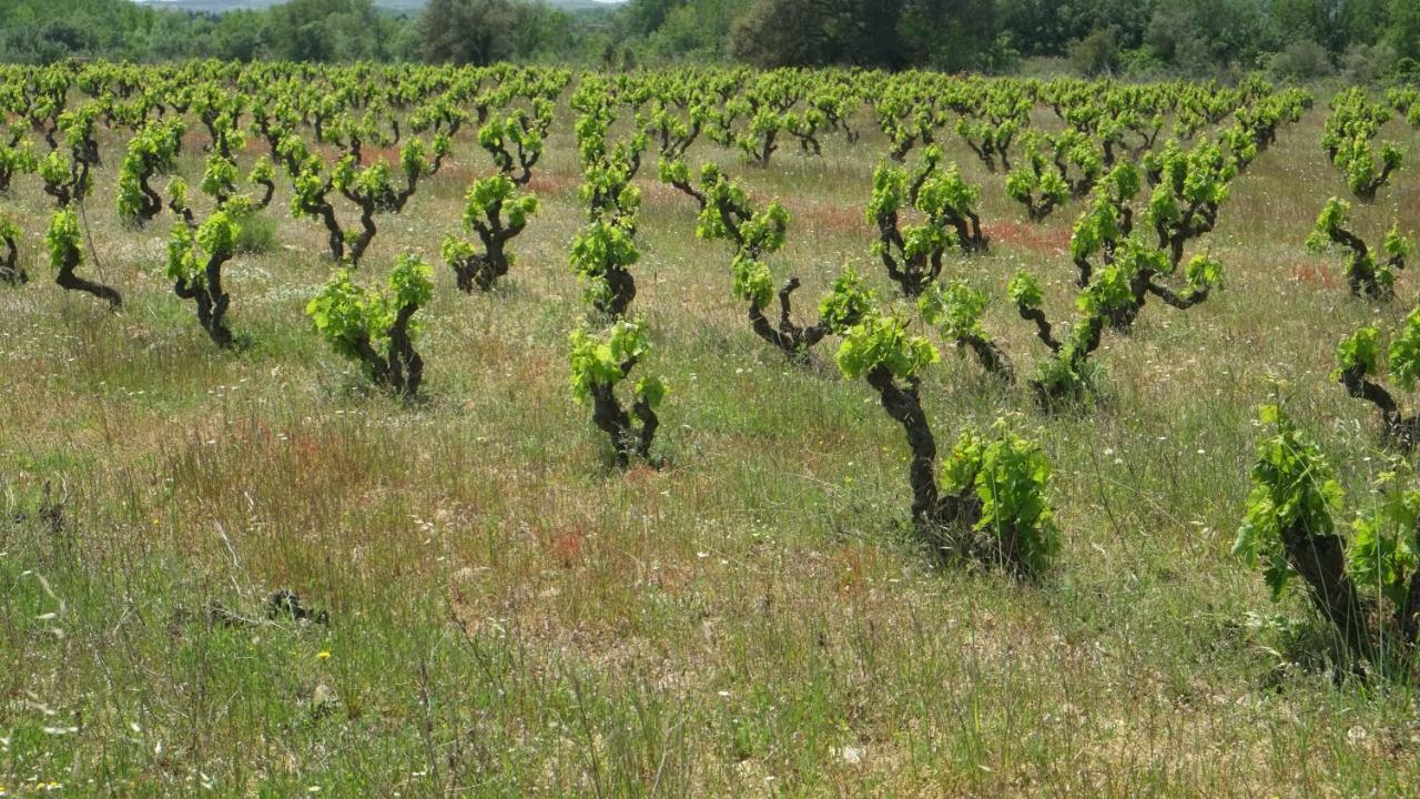 La Masia De Montpedrós Casa rural