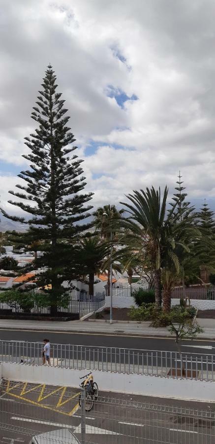 El Chaparral Studio-appartement With Fantastic Pool- View And Wifi Apartment
