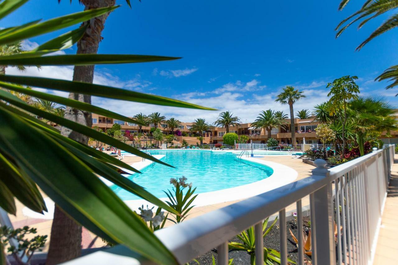Alicebungalowpoolview-summer Apartment Corralejo
