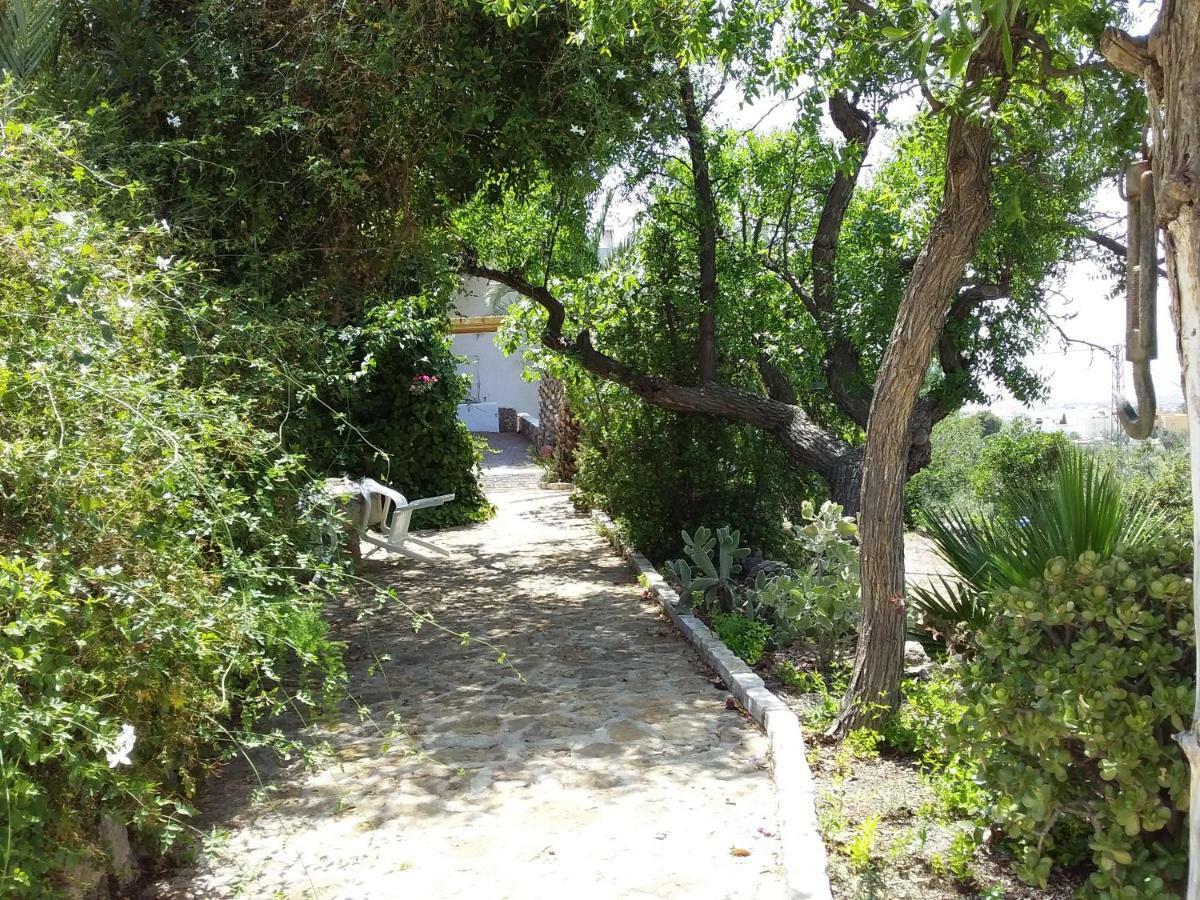 Cortijos Manzano *
