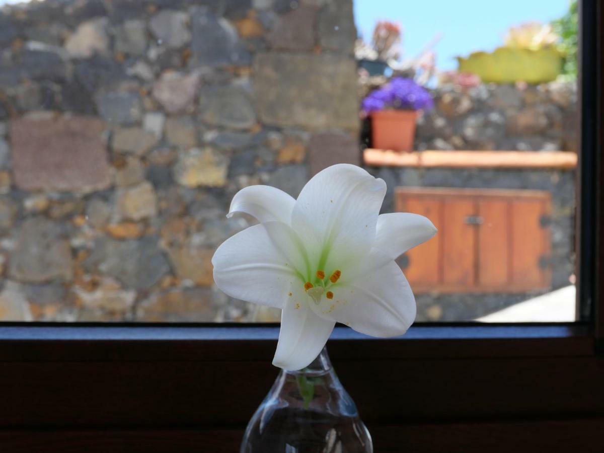 Casa Viges * El Pinar (El Hierro)