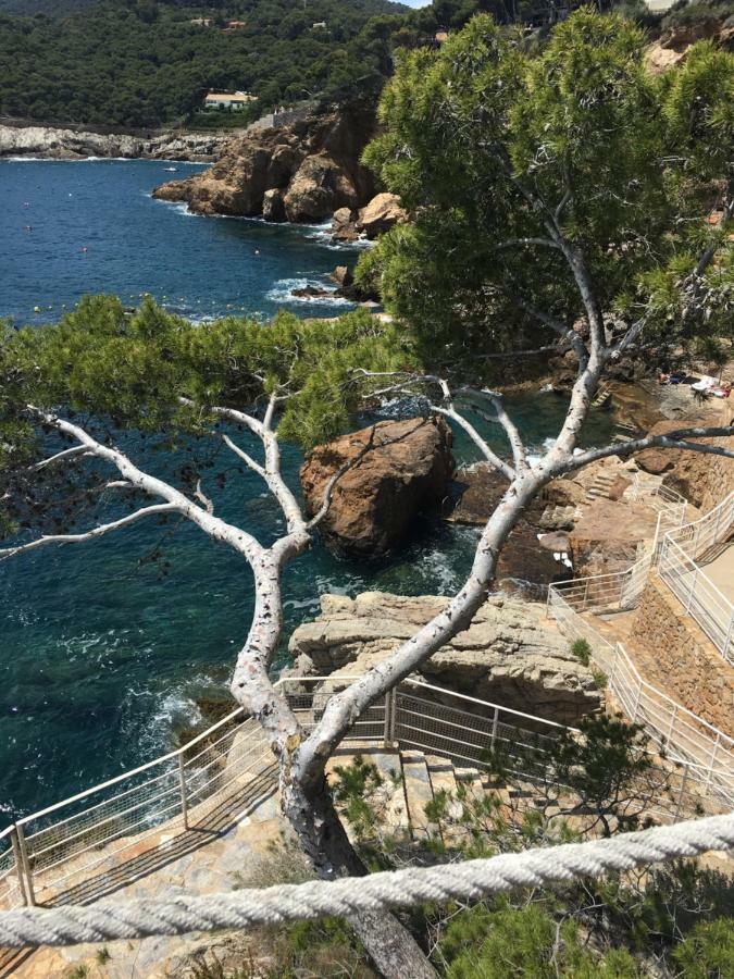 Apartment Cap Sa Sal - Sa Roca 2 Begur