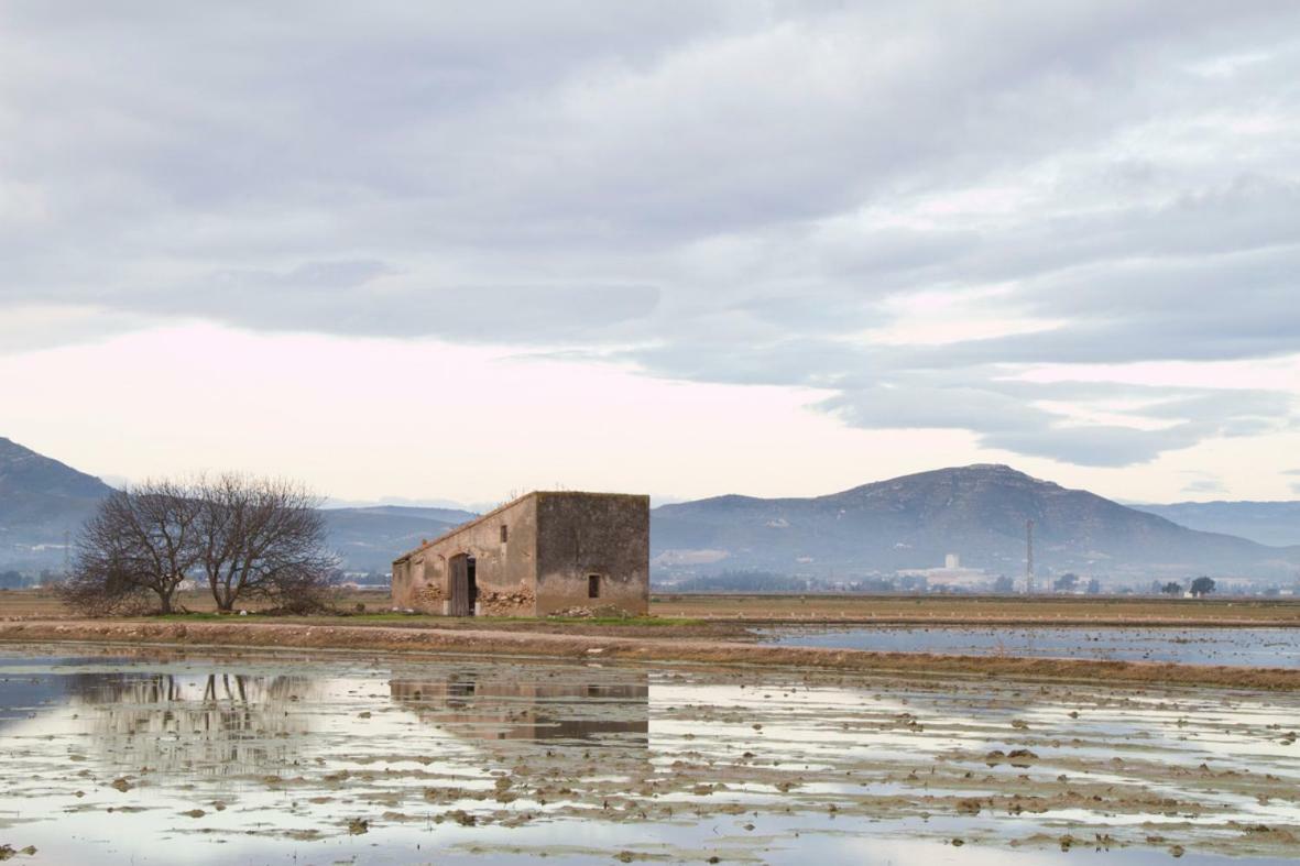 Casa Del Palomet Holiday home Deltebre
