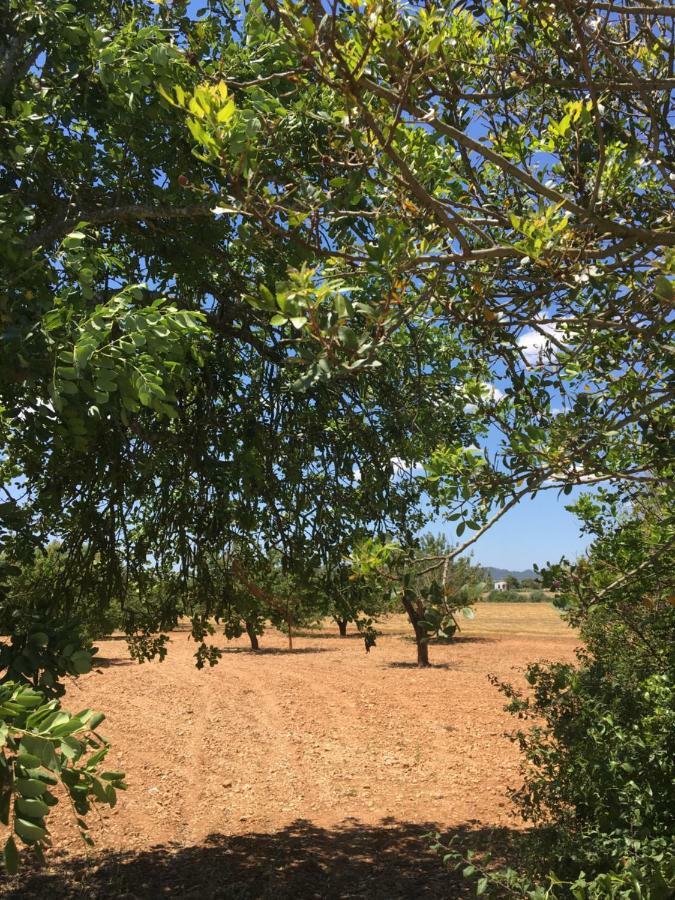Holiday home Finca Es Vinyet *