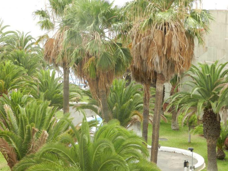 Apartment Beach-front Tenerife Sth Sea And Pool View Costa Del Silencio