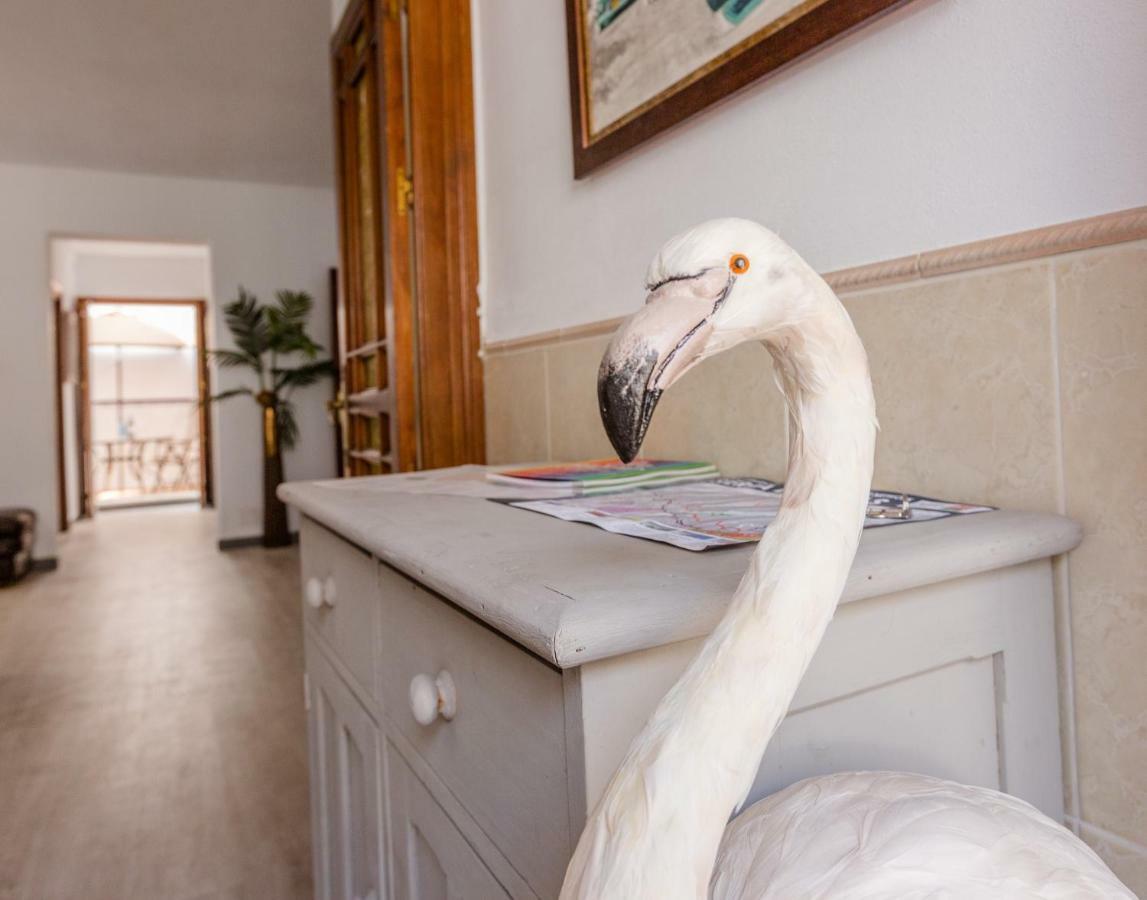 Alhaurin Old Town, Casa Flamingo, 2 Bed