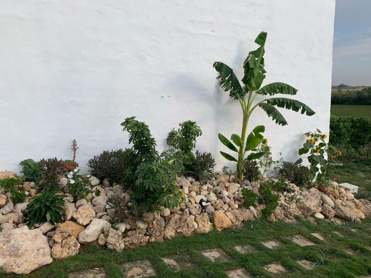 El Lagar De Abuelos