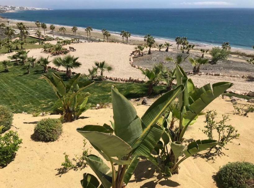 Monika Playa Macenas