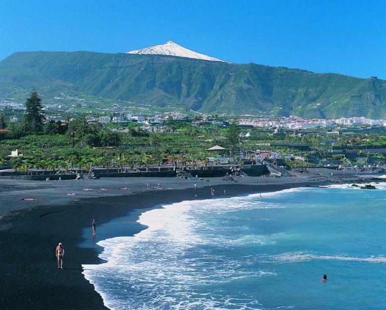 Terassas- Playa De Americas - Tenerife- Espagne Playa de las Americas (Tenerife)