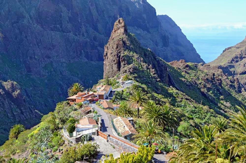 Buenavistera *