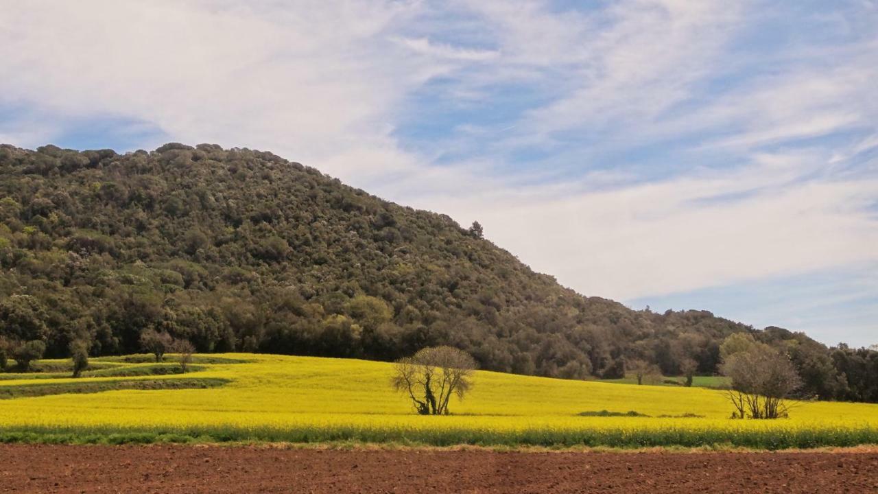 Els Masos De Caula