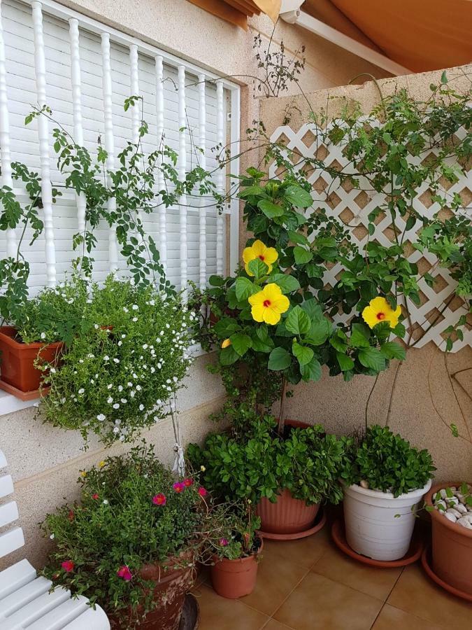 Apartamento Columbretes San Juan (Alicante)