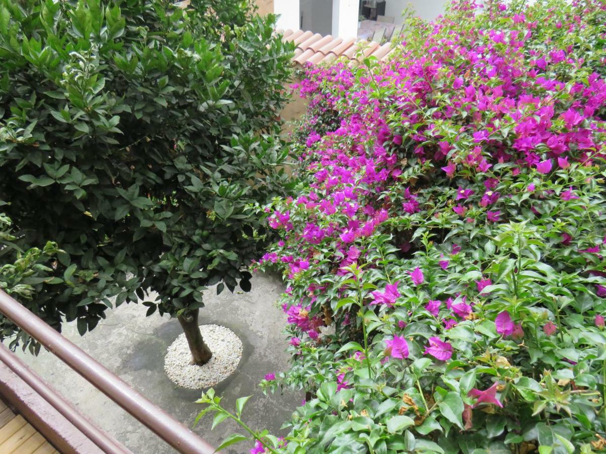 Villa Casa Luly *