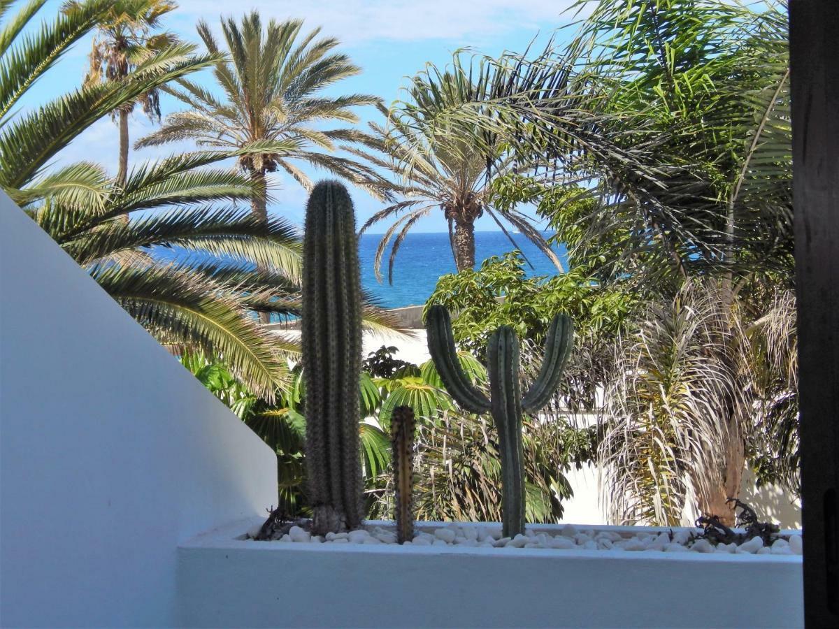 Beautiful Beachfront Apartamento