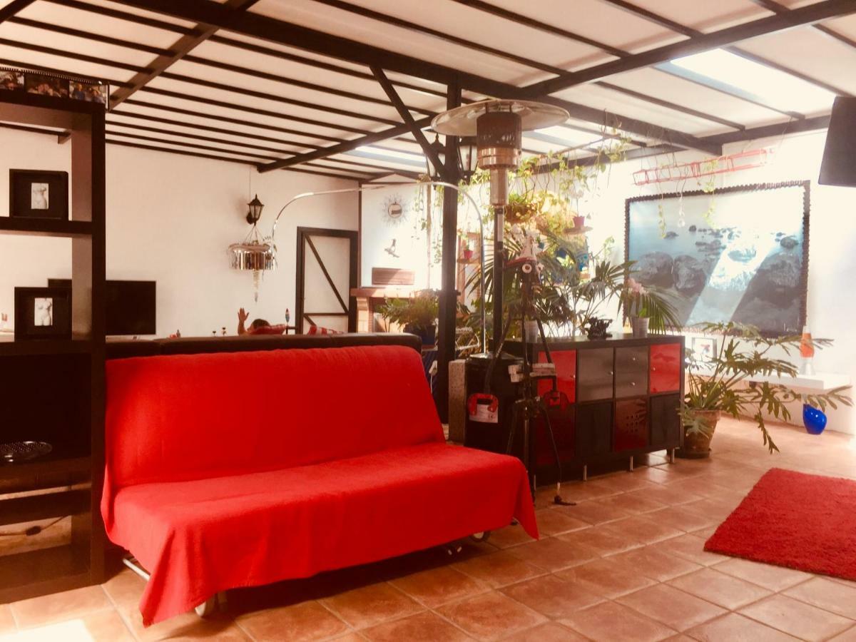 Loft 75, Tahiche