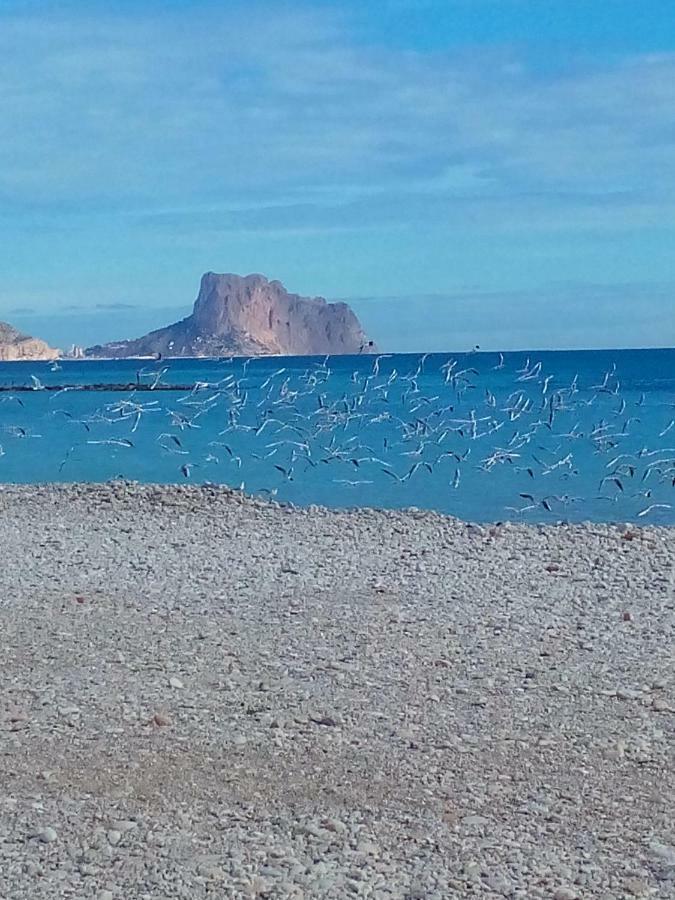 Shambhala * Altea