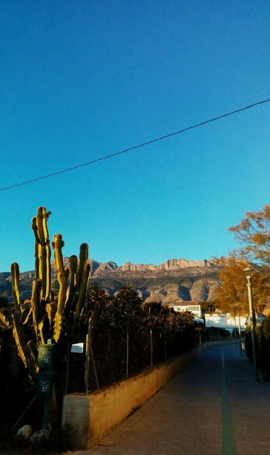 Shambhala Altea