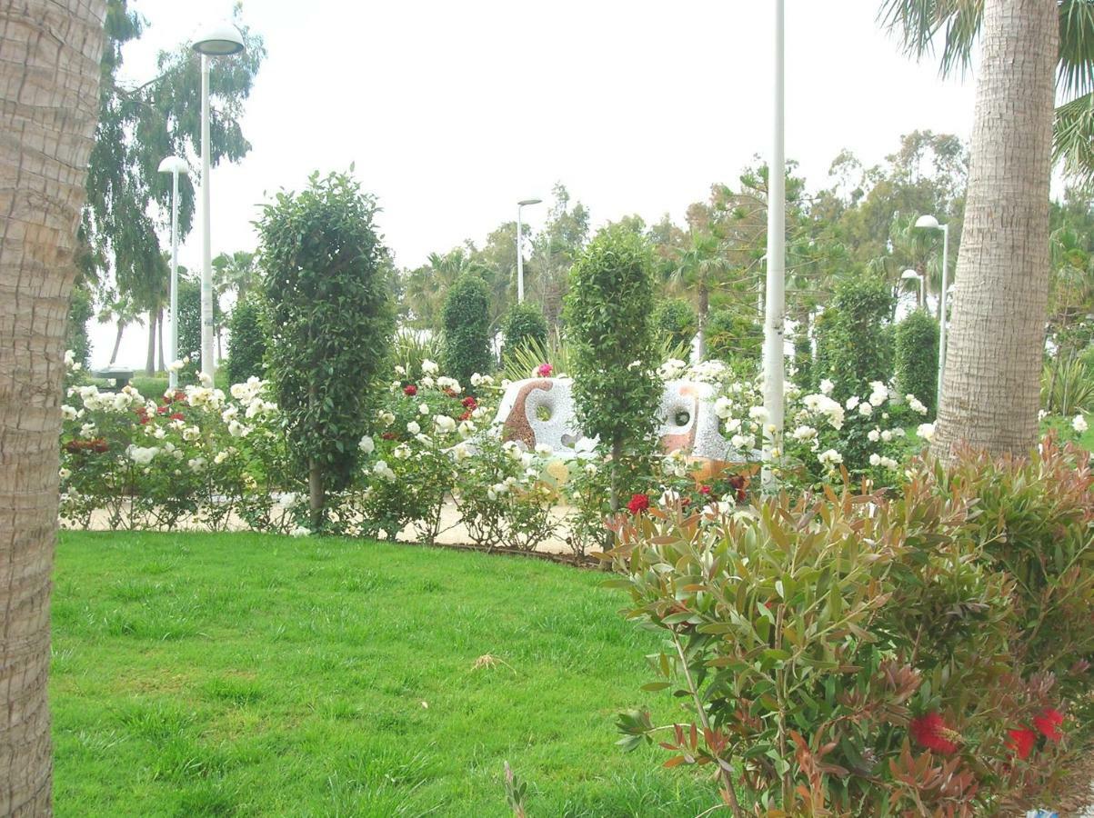 Apartamento En Marinador Frente A La Playa *