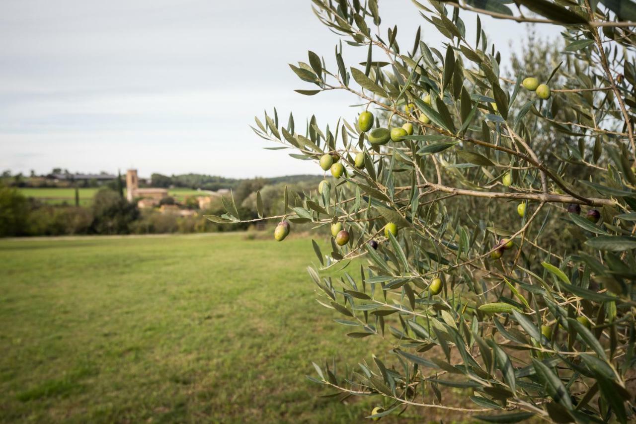 Country house Masia Baix Emporda