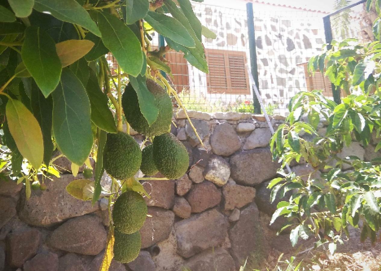 Casa rural Casas Blancas -suite2- R E L A X *