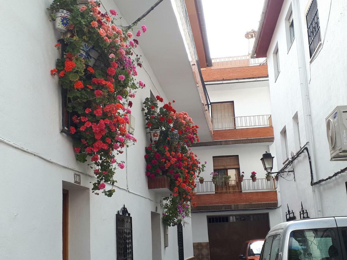Apartamento Erillas *