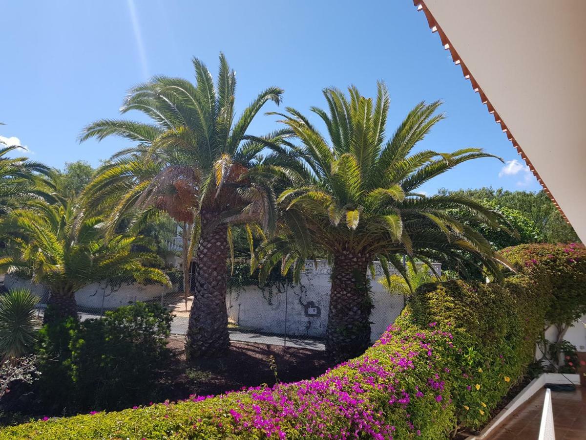 Apartamento Larnia De Tenerife *