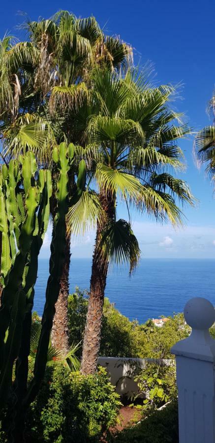 Larnia De Tenerife Apartamento