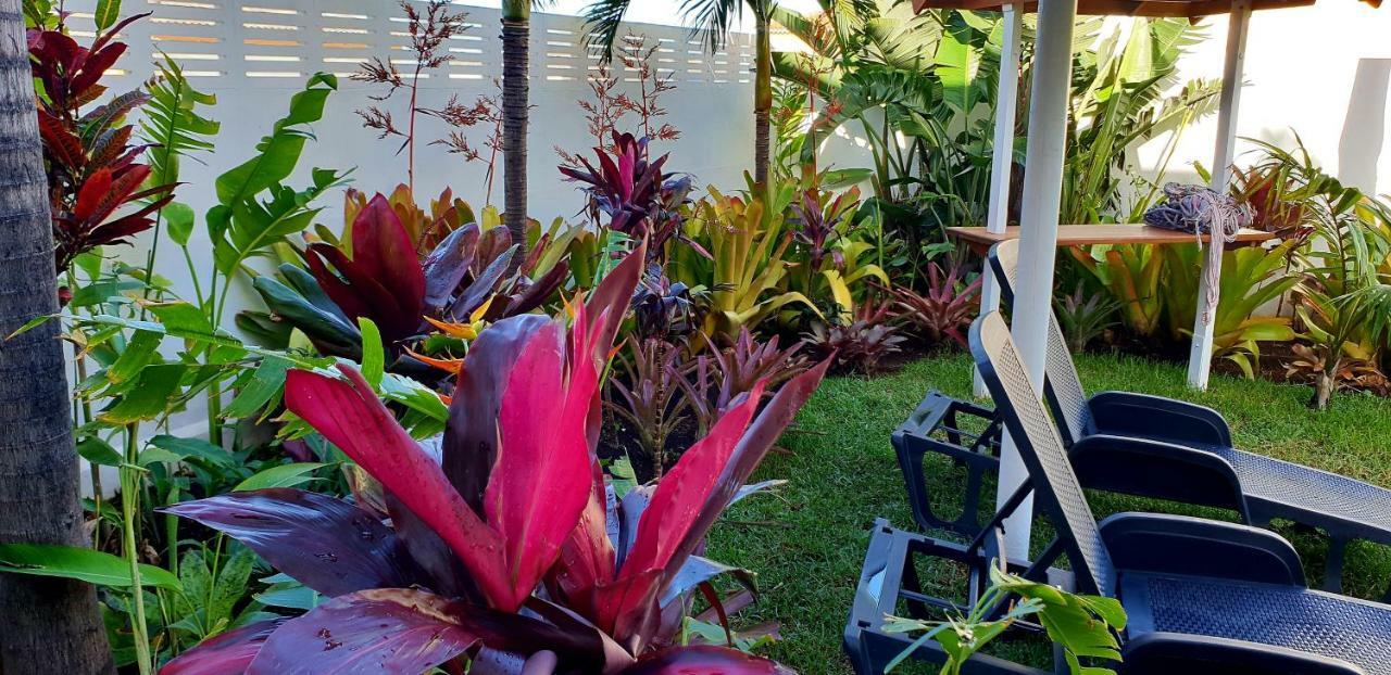 La Selvita Homestay Bajamar (La Laguna)