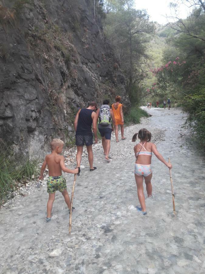 Pura Vida El Morche *