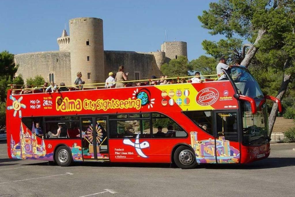 Apartamento Canarias. Islas Afortunadas *