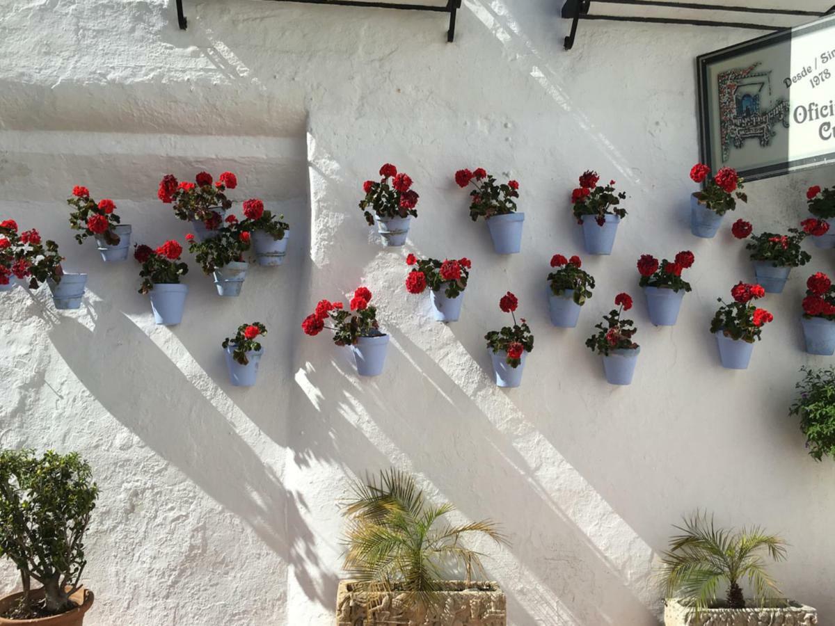 Aptos Riscos Apartamento *