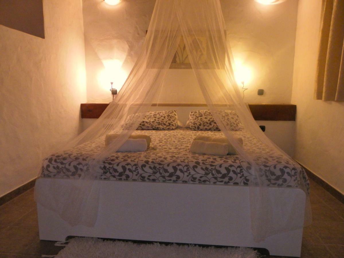 Flora Villa Lajares
