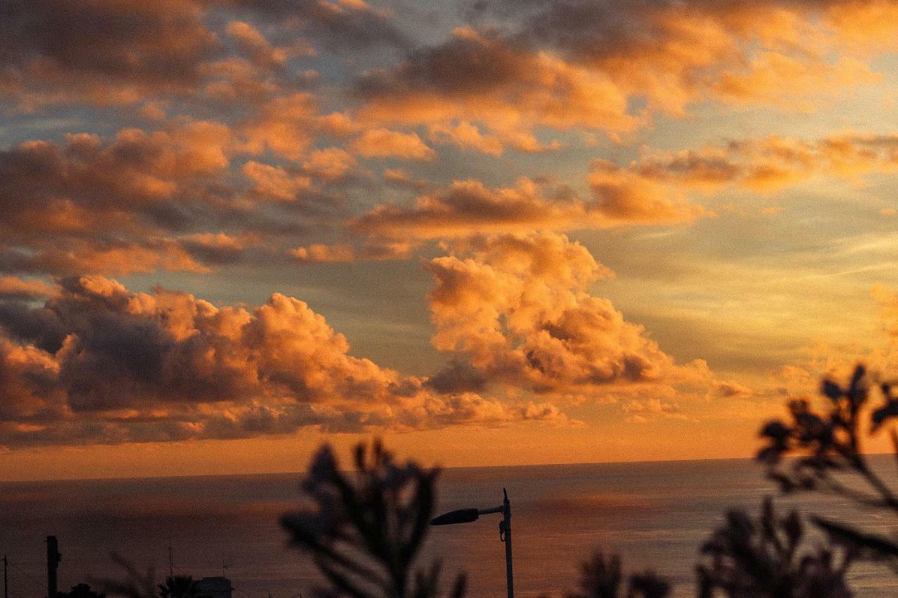 Lovely In La Palma, Santa Cruz De La Palma *