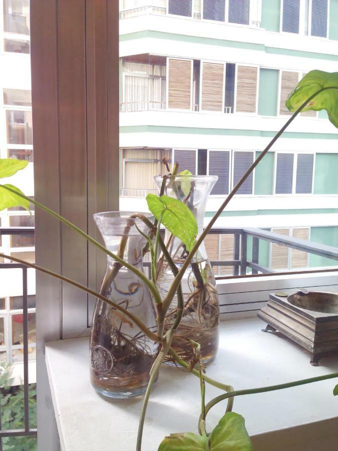 Apartamento Centro Ciudad