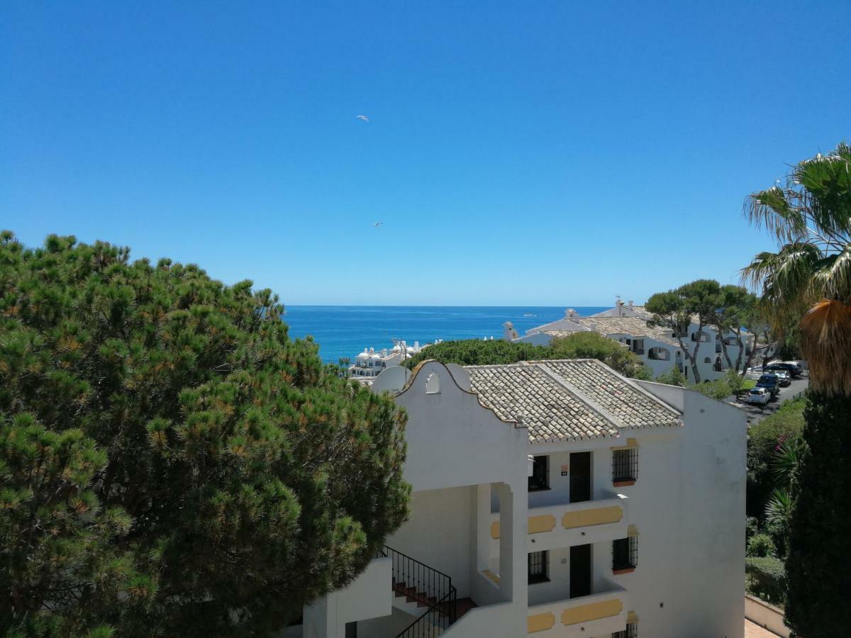 Acacias Torrenueva La Cala De Mijas