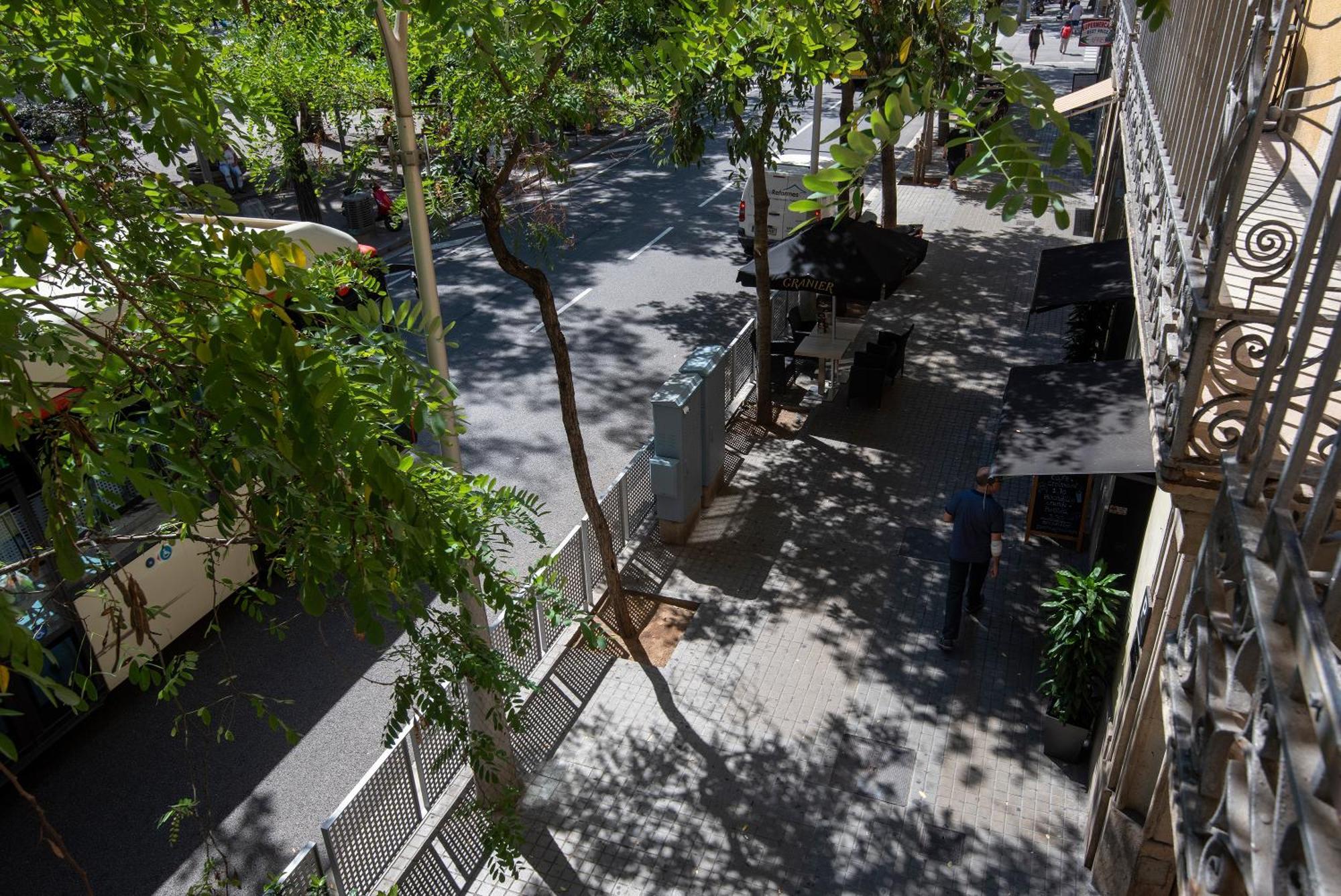 Guest house Plaza Goya