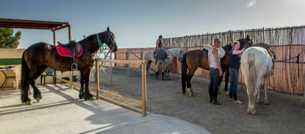 Bed & Breakfast El Pajarero